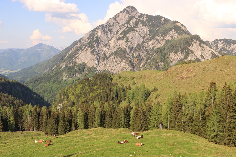Postalm mit Rinnkogel