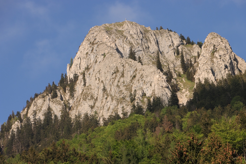 Frauenkopf in Fuschl