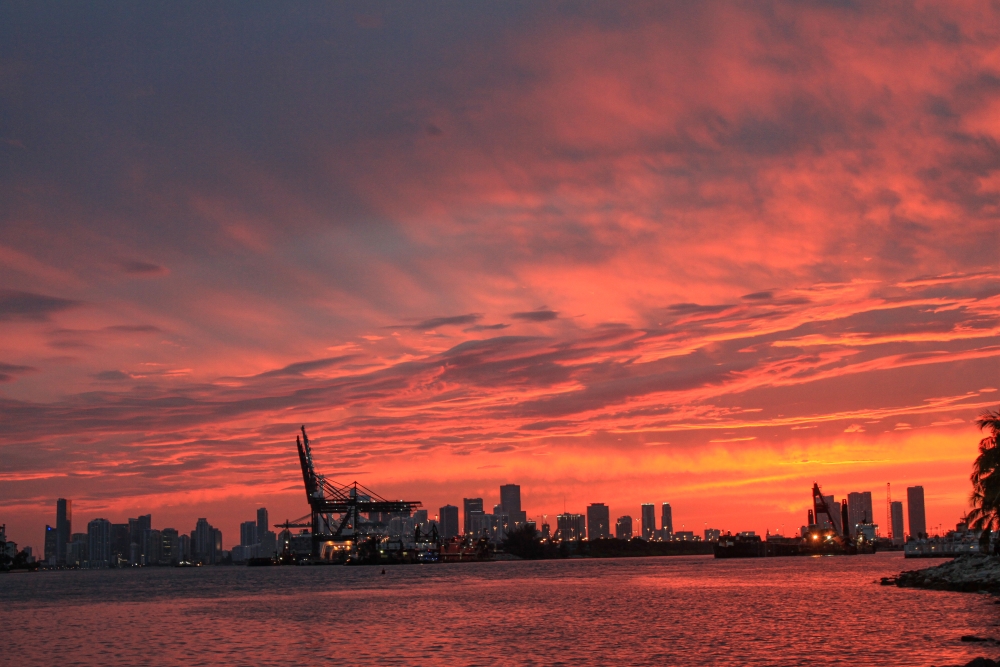 Miami Skyline von Miami Beach