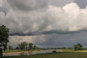 Elbelandschaft bei Prettin