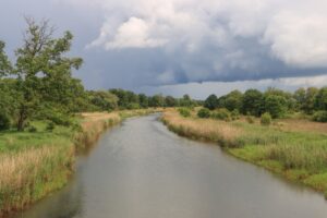 Schwarze Elster vor der Mündung in die Elbe