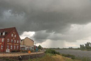 Elster an der Elbe