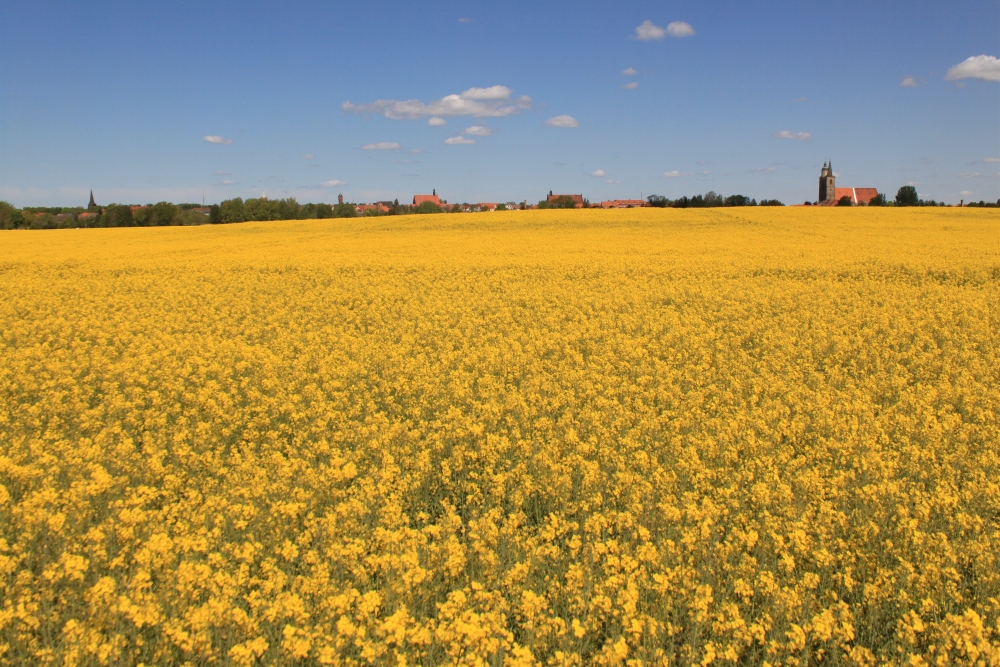 Jüterbog; Frühling
