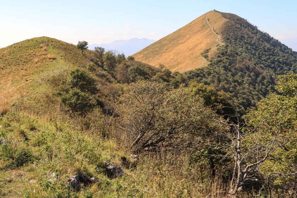 Bernina 2 Monte San Primo