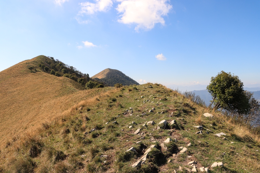 Bernina 2 Monte San Primo