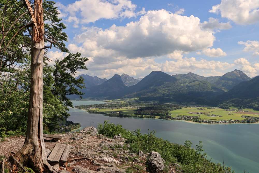 Wolfgangsee Panorama
