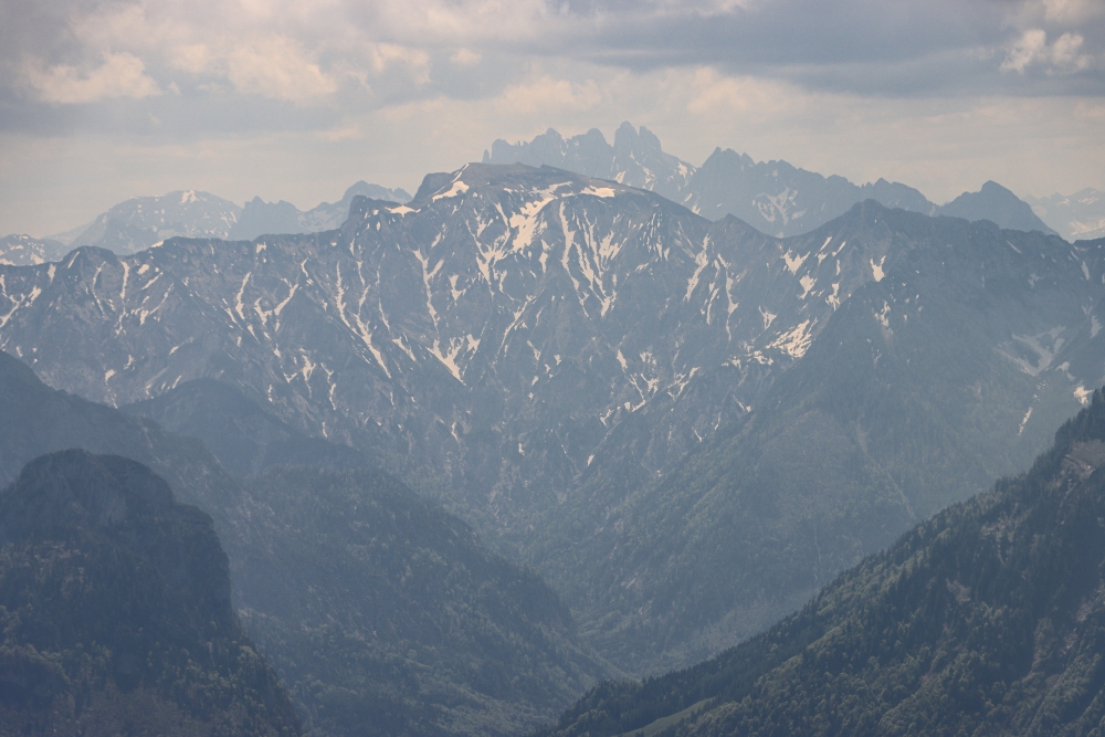 Gamsfeld und Gosaukamm vom Schafberg