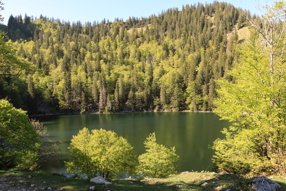 Mönichsee am Schafberg