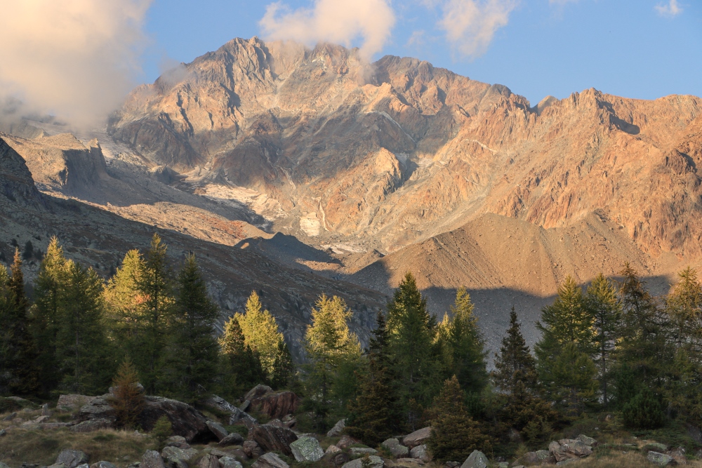 Monte Disgrazia von Preda Rossa