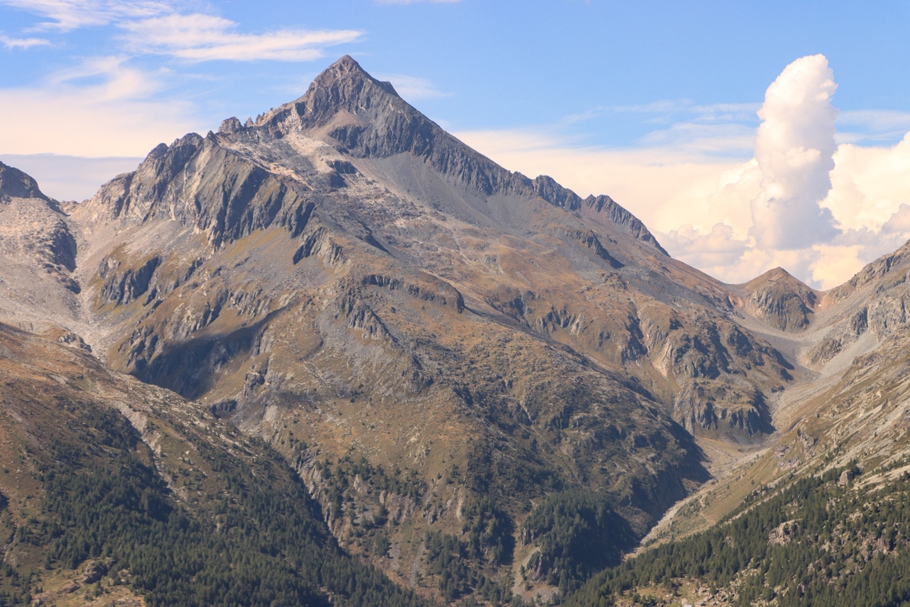 Valmalenco; Monte del Forno