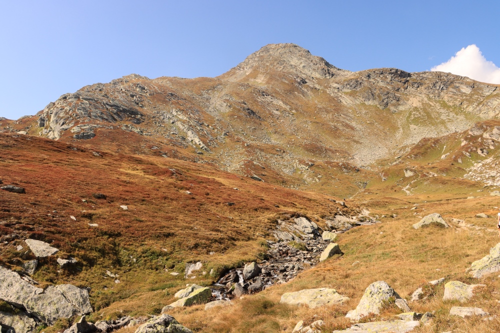 Albula Alpen Piz Grevasalvas (2931)