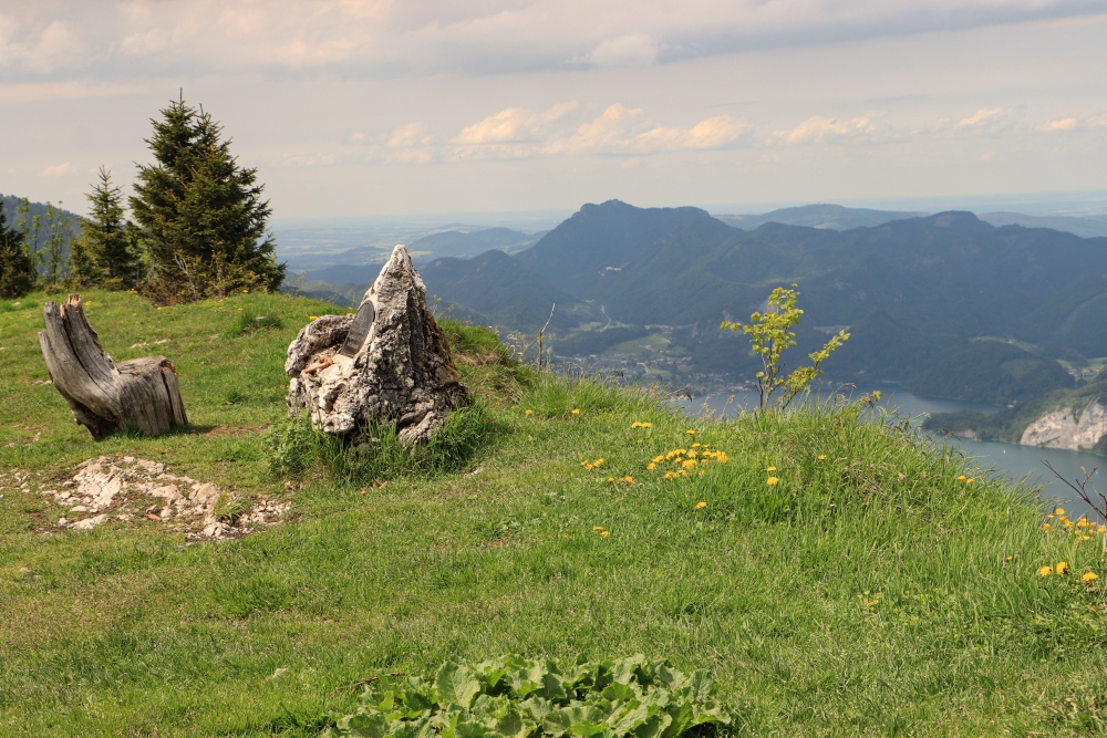 Frühling im Salzkammergut; Auf der Bleckwand über dem Wolfgangsee