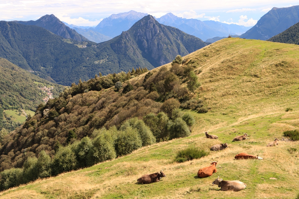 Lombardei zwischen Comer und Luganer See; Val Cavargna