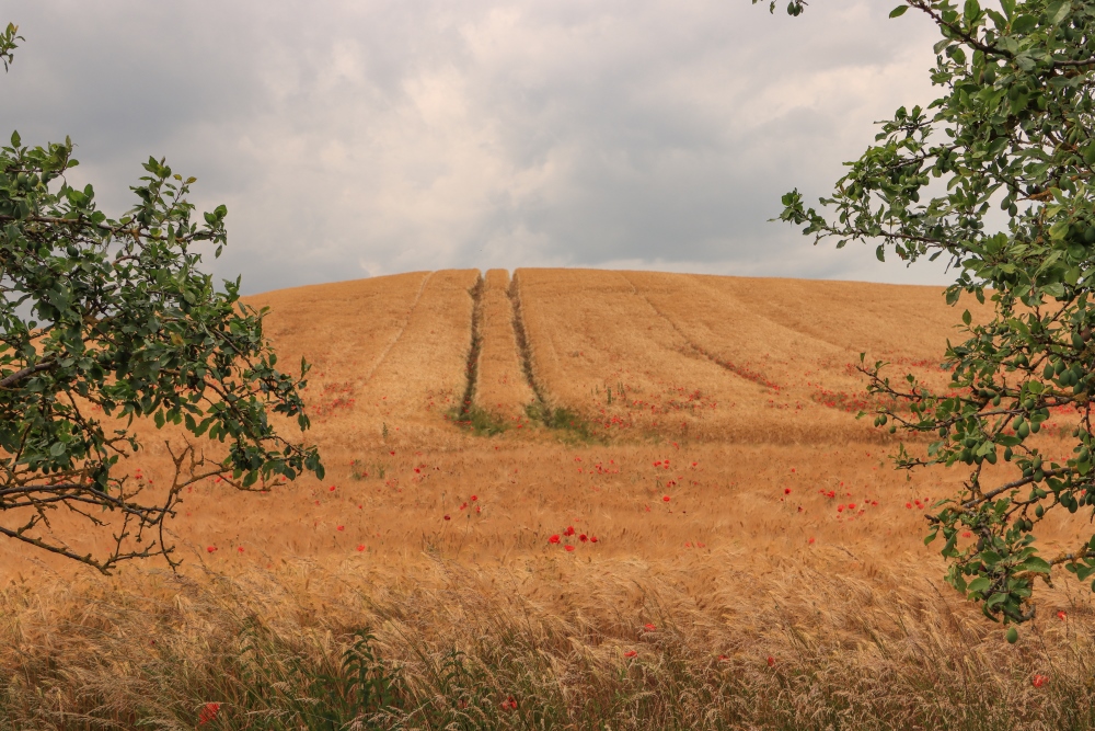 Sommer in der Uckermark