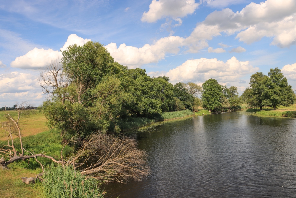 Nationalpark Unteres Odertal, Strom der Meglitze