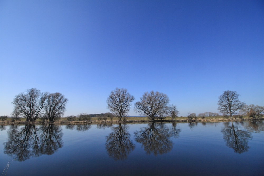 Westhavelland bei Gülpe