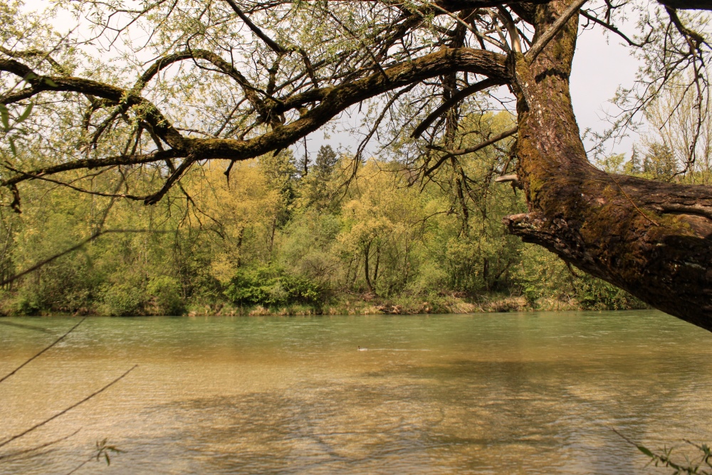 München; An der Isar