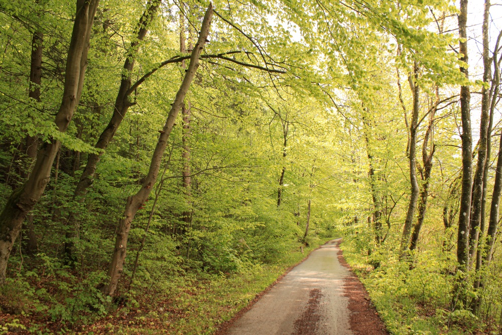 München; Isar-Radweg
