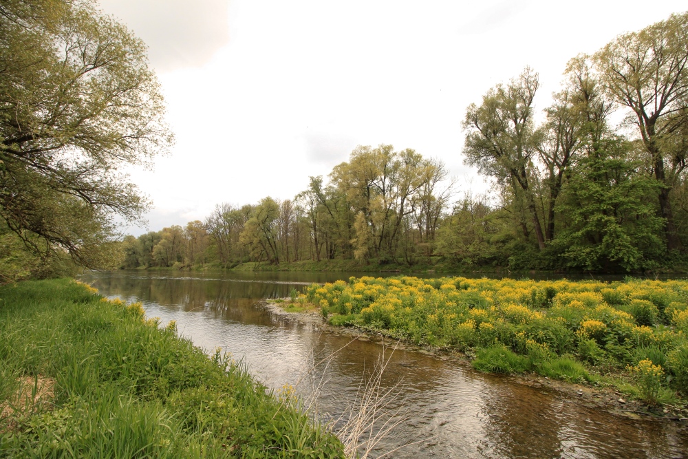 Frühling an der Isar bei Langenbach