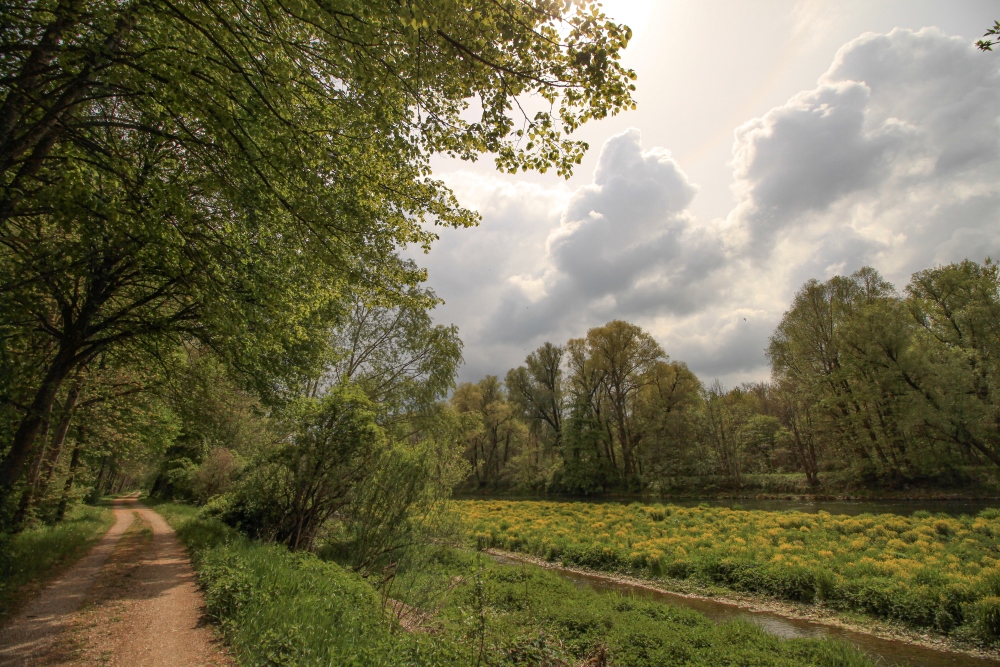 Isar-Radweg bei Langenbach