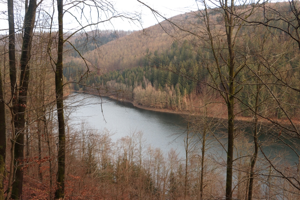 Talsperre Schönbrunn im Thüringer Wald