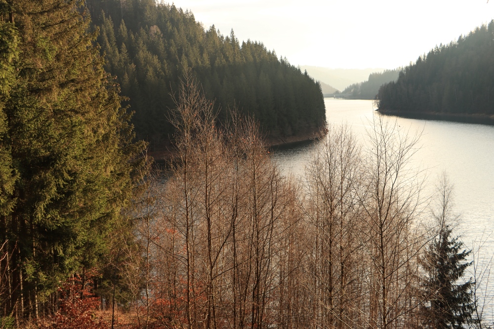 Talsperre Schönbrunn im Thüringer Wald
