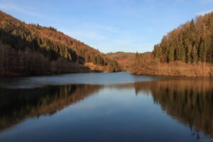Thüringer Wald, Vorsperre Schleusengrund der Talsperre Schönbrunn