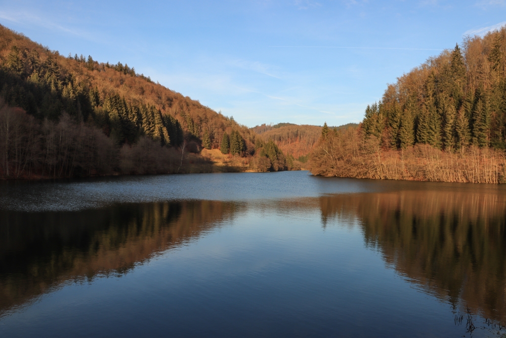 Thüringer Wald, Vorsperre Schleusengrund der Talsperre Schönbrunn