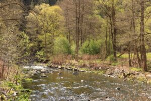 Frühling im Schwarzaztal