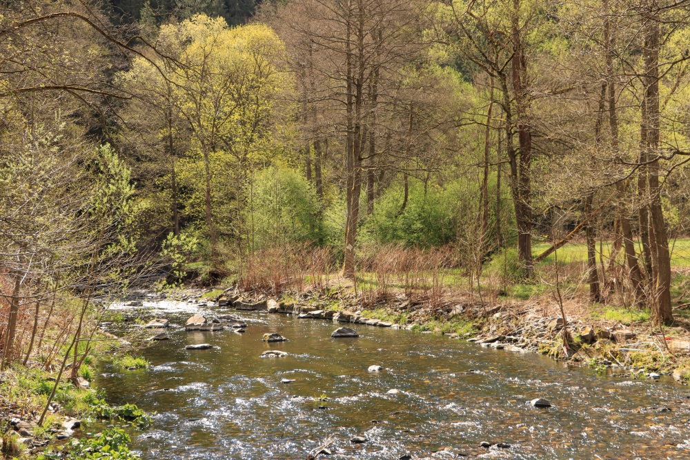 Frühling im Schwarzaztal