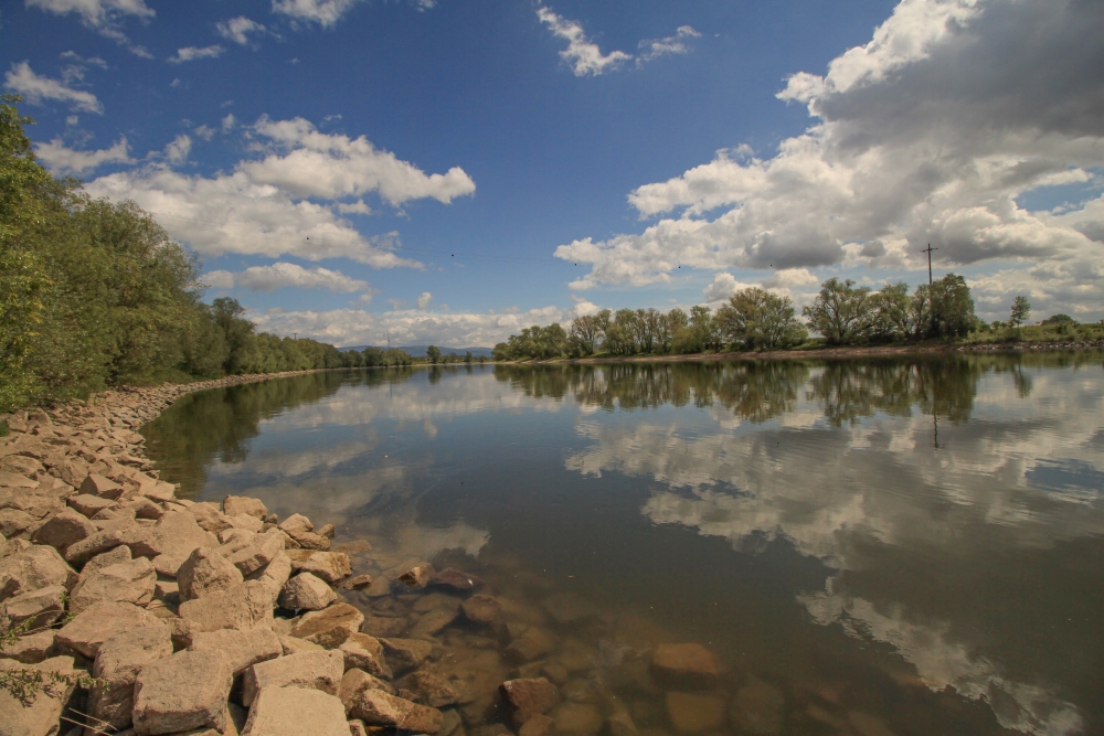Donau in Reibersdorf