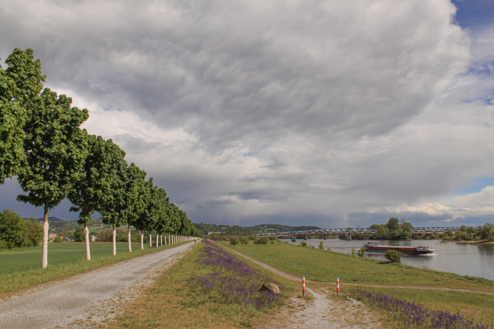 Donau-Radweg bei Deggendorf
