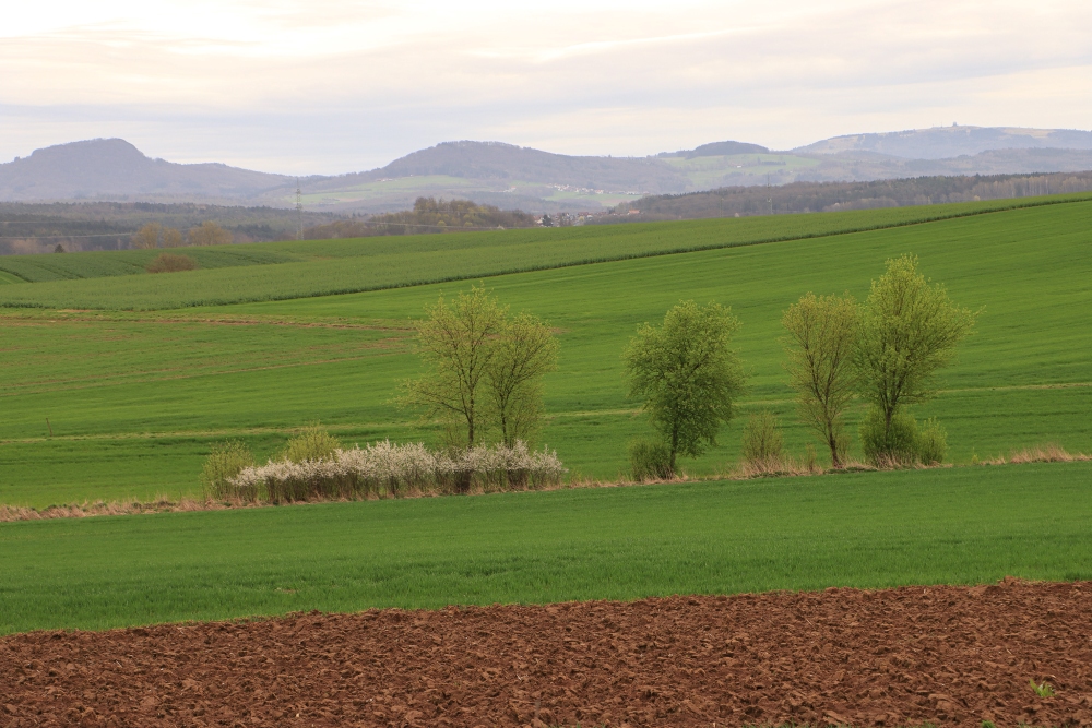 Frühling in der Rhön