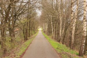 Radweg auf der einstigen Biebertalbahn in der Rhön