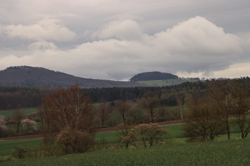 Frühling in der Rhön