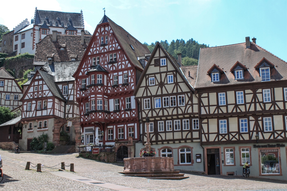 Miltenberg, Markt