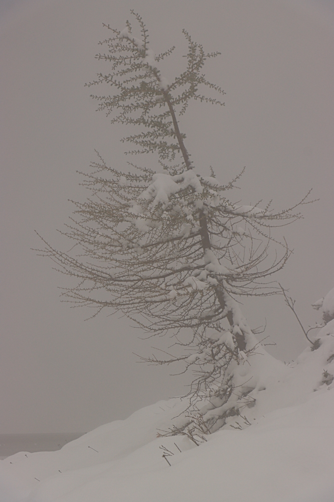 Wintereinbruch am Loser