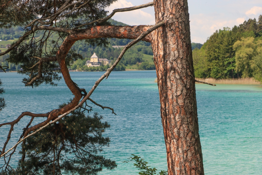 Fuschlsee mit Schloss