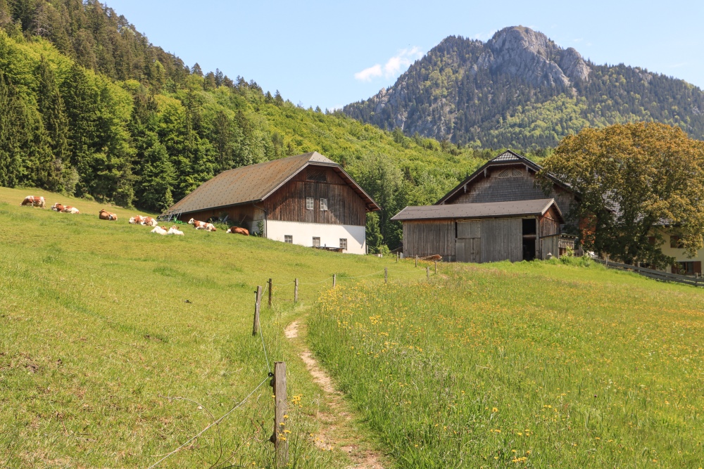 Alpenidylle vor dem Frauenkopf