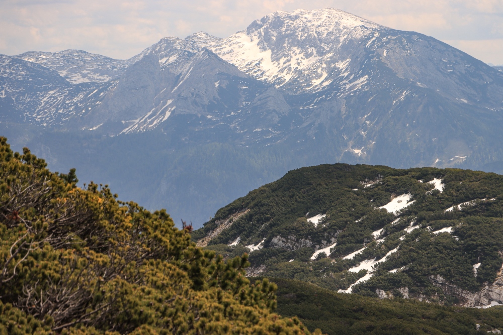 Großer Wildenkogel (Schönberg) im Toten Gebirge