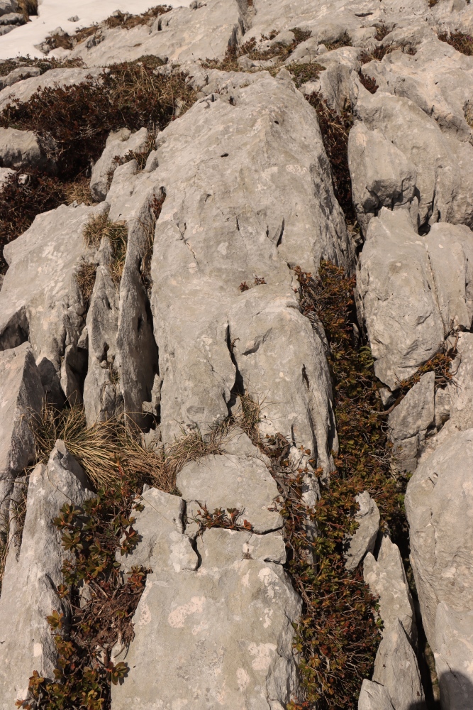 Höllengebirge, Karstgestein