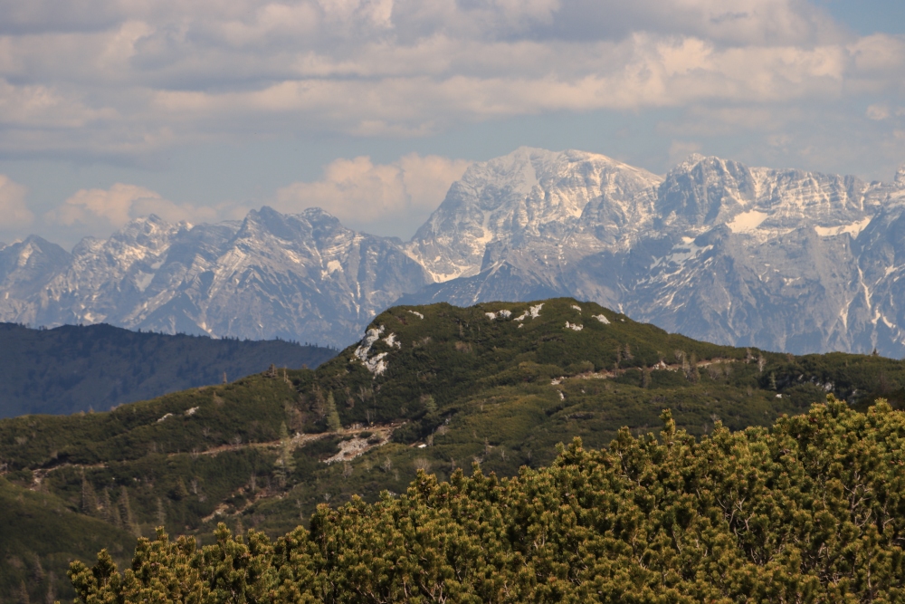 Totes Gebirge, Hoher Priel