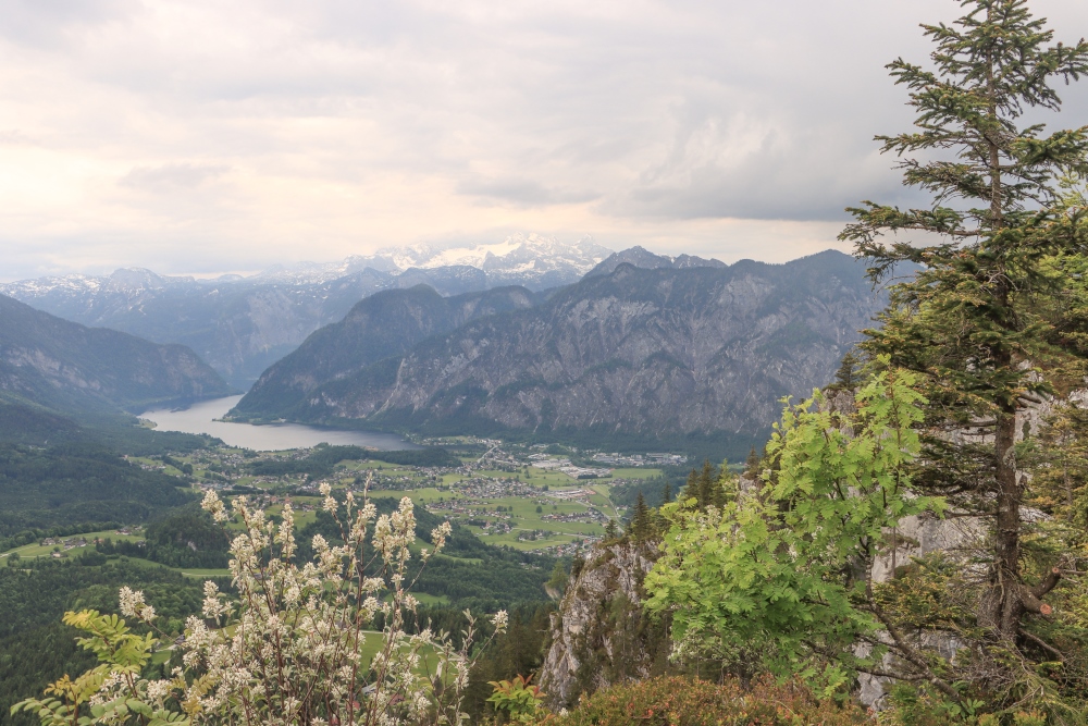 Dachsteinpanorama vom Predigstuhl