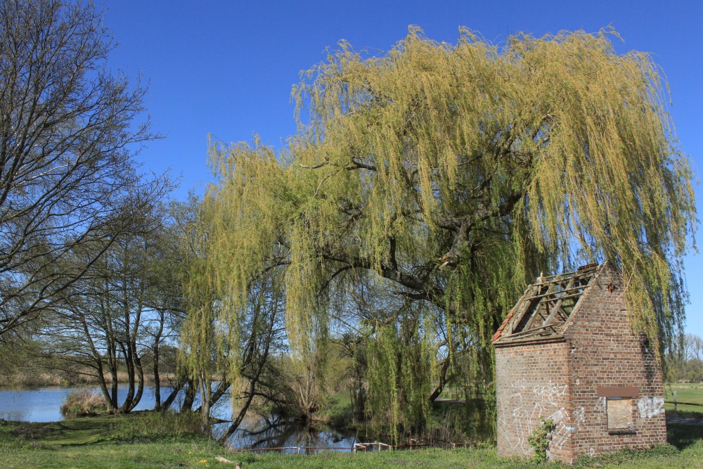 Frühling an der Havel am Trebelsee
