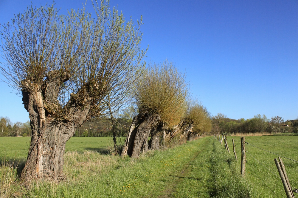 Frühling im Havelland