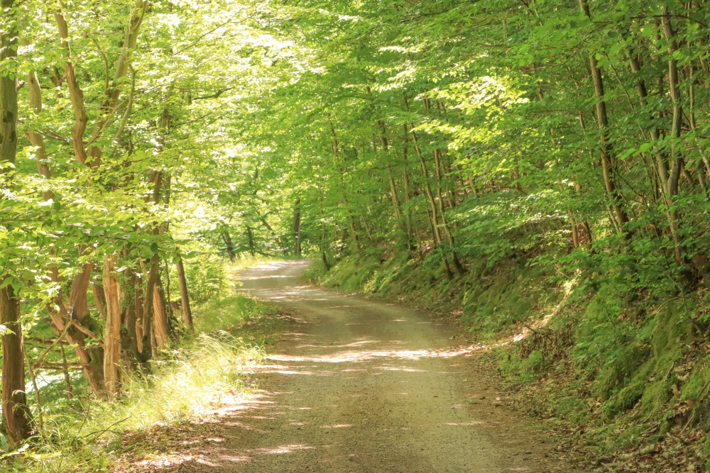 Schattiger Eder-Radweg