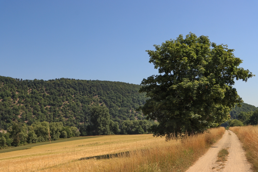 Eder-Radweg bei Bringhausen
