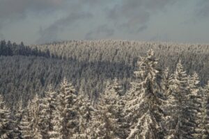 Inselsberg