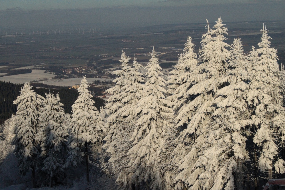 Blick vom Inselsberg ins Thüringer Becken