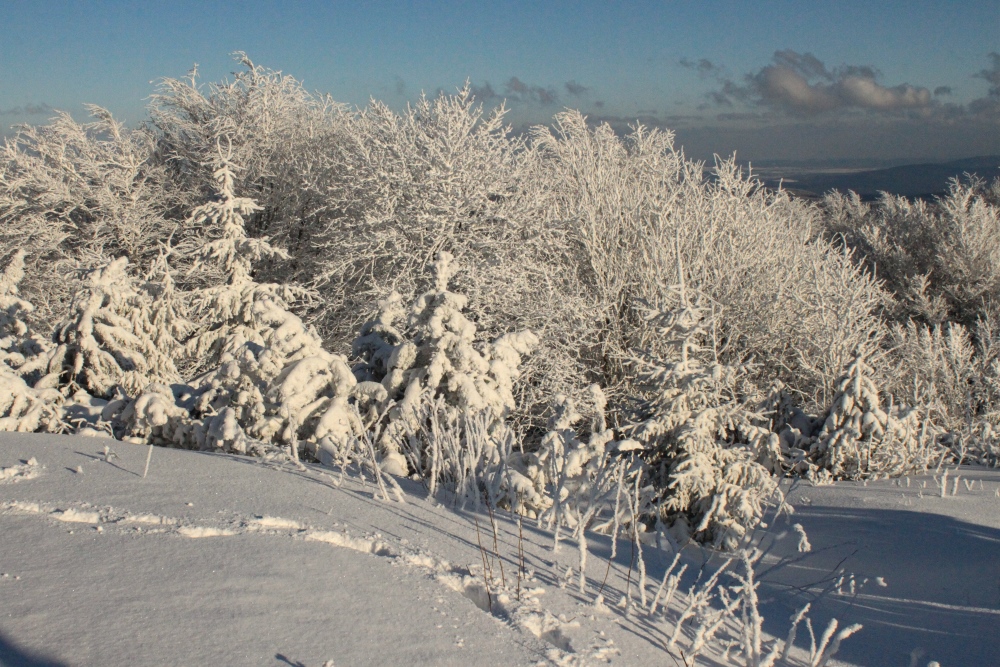 Winterlicher Thüringer Wald